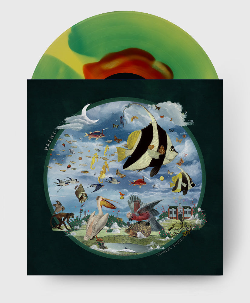 Plini - Impulse Voices - Coloured Vinyl Record - Heliconia Burst