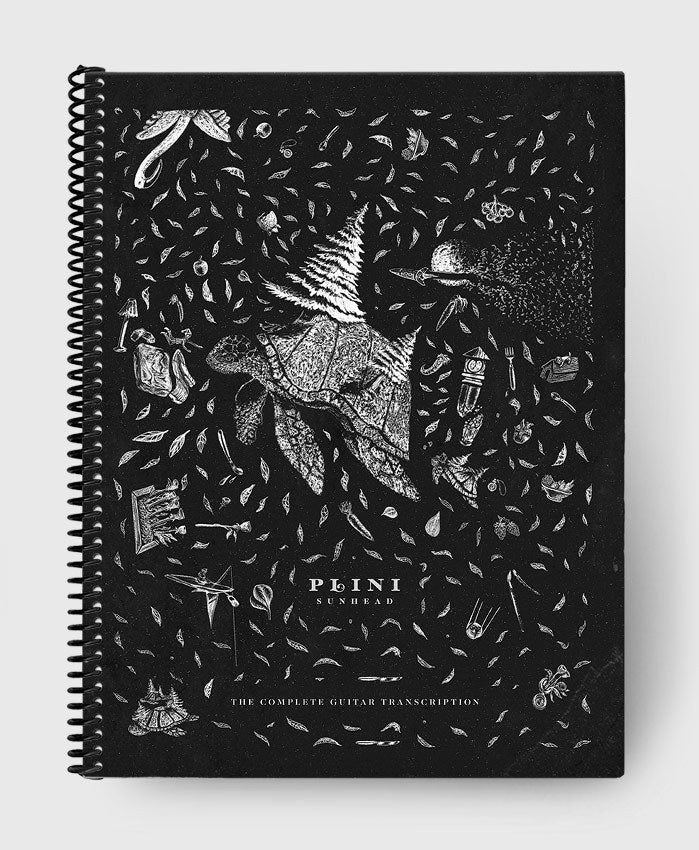 Sunhead | Plini