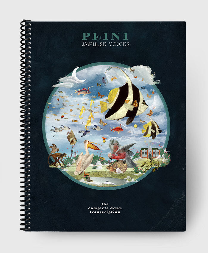 洋楽 Plini / Impulse Voices Impulse Voices | Plini