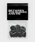 Load image into Gallery viewer, Printed Book + Picks + Art Print
