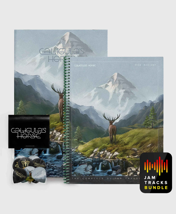 Deluxe Book Bundle
