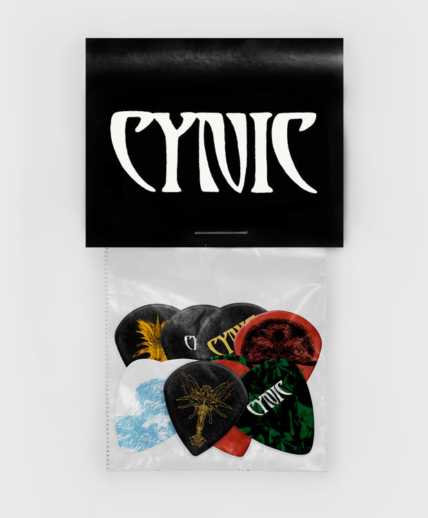 10 Custom Dunlop Picks