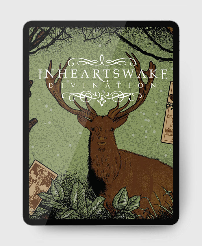 IN HEARTS WAKE - Official Guitar Tabs, Vinyl & Merch – Sheet Happens