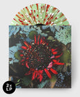 Load image into Gallery viewer, 2xLP Sidewalk Painting Splatter LP
