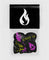 10 Custom Dunlop Picks