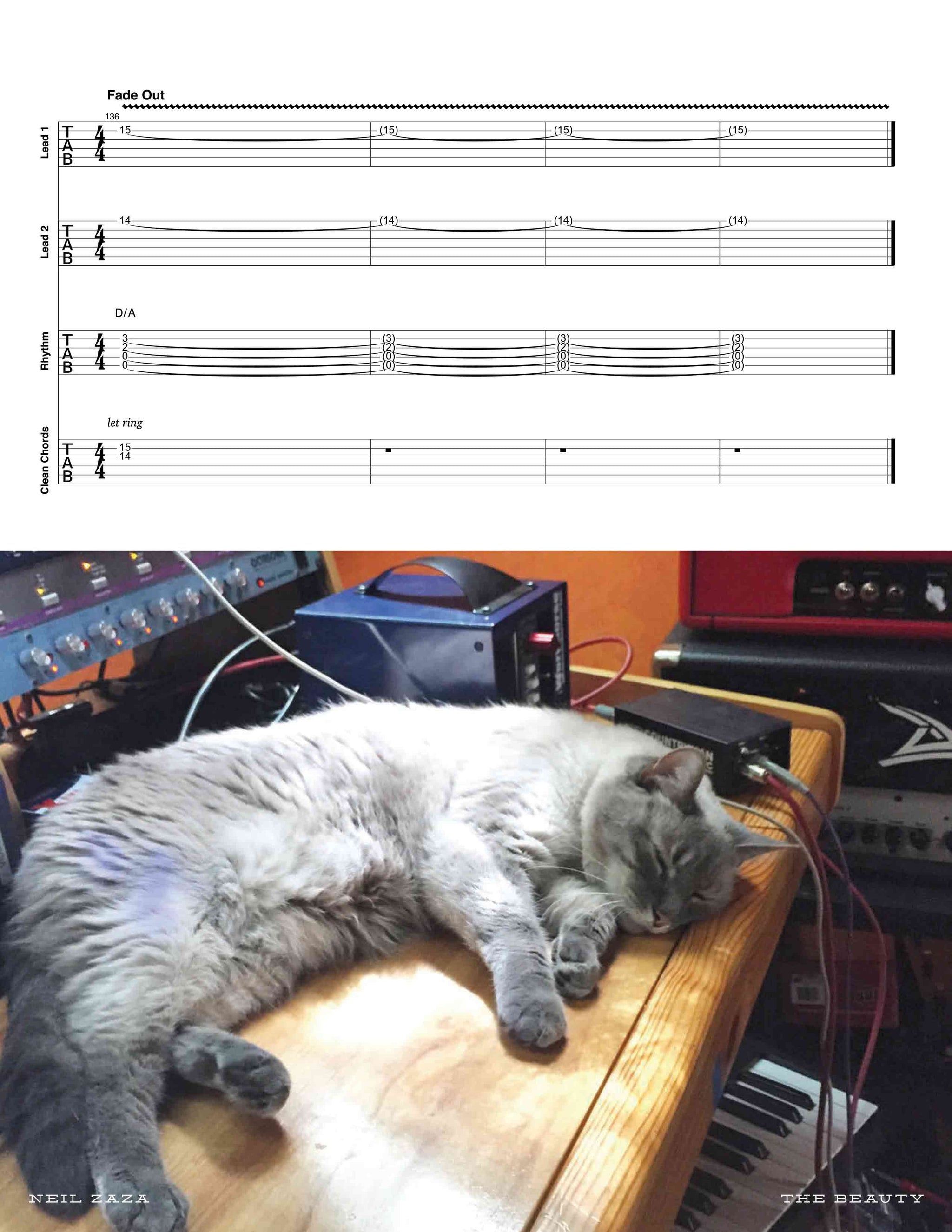 Neil Zaza: Peach Official Guitar Tab Book – Sheet Happens