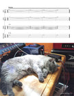 Load image into Gallery viewer, Digital Guitar Book
