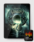 Load image into Gallery viewer, Digital Guitar &amp; Bass Book + Jam Tracks
