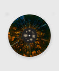 Load image into Gallery viewer, Night Bloom Burst Vinyl
