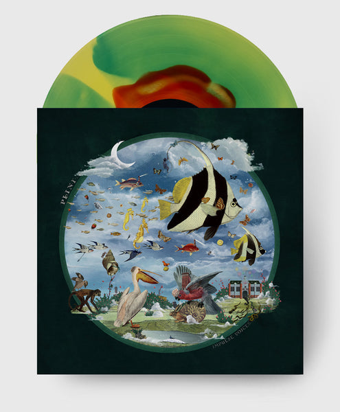 Plini - Impulse Voices - Coloured Vinyl Record - Heliconia Burst