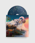 Load image into Gallery viewer, Everything with Butterfly LP, Everything with Safflower LP, Everything with Sunbeam LP, Everything with Borealis LP
