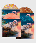 Load image into Gallery viewer, Vinyl Collectors Bundle
