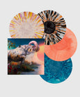 Load image into Gallery viewer, Vinyl Collectors Bundle
