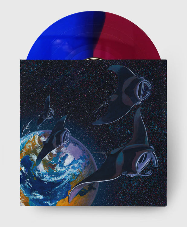 Half & Half Translucent Pink/Blue LP