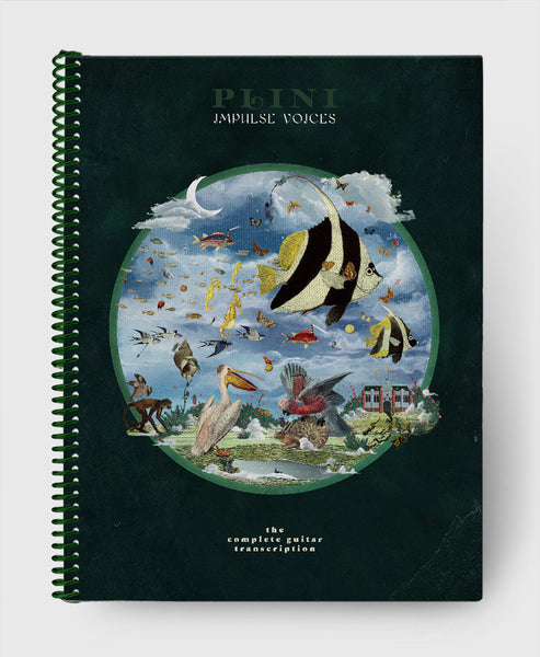 洋楽 Plini / Impulse Voices Impulse Voices | Plini