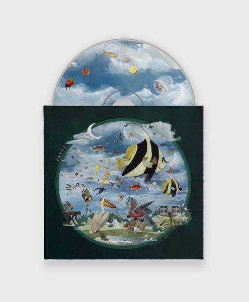 Plini – Impulse Voices Remix EP – Vinyl (Transparent Light
