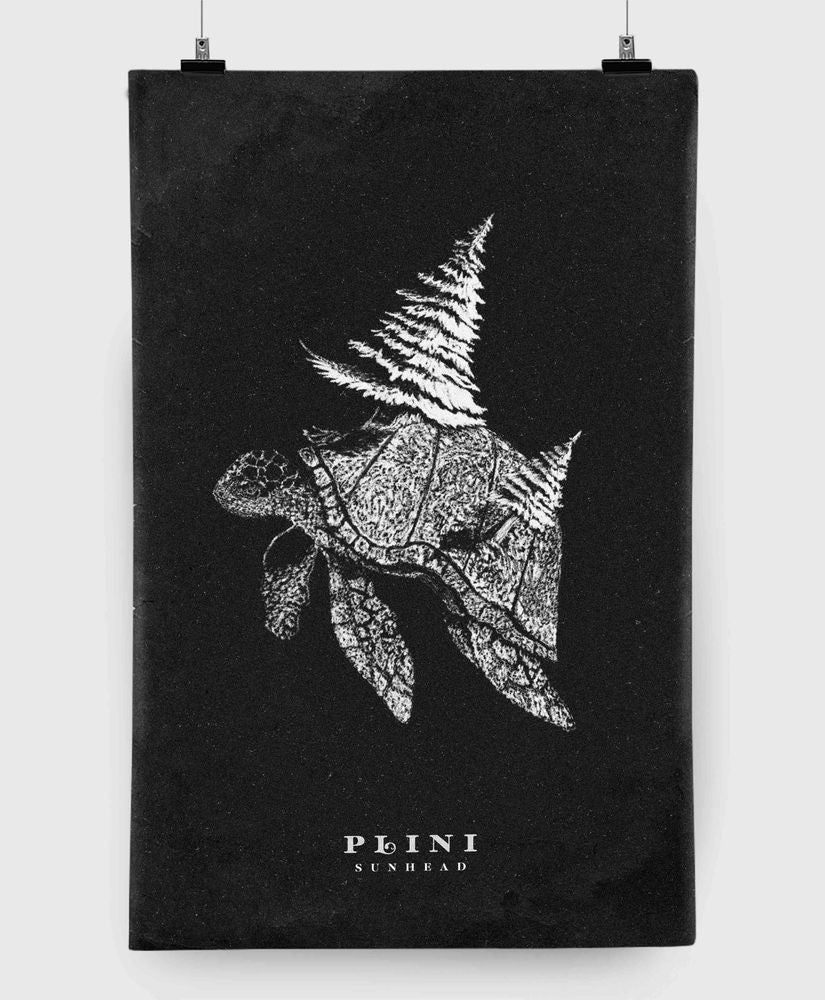 洋楽 Plini Impulse Voices Limited Vinyl Plini - Impulse Voices (Remixes) - Coloured Vinyl Record